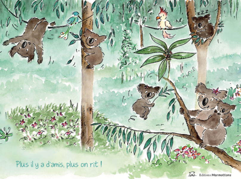 Poster Sacha le koala A3